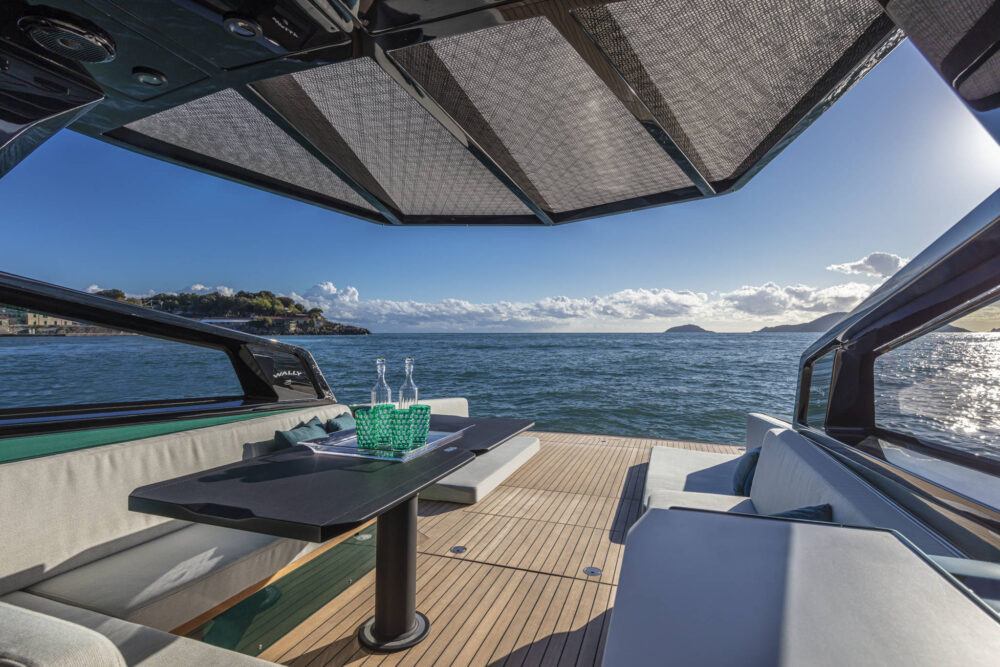 Wally wallytender43 - Внешний вид - Wally wallytender43