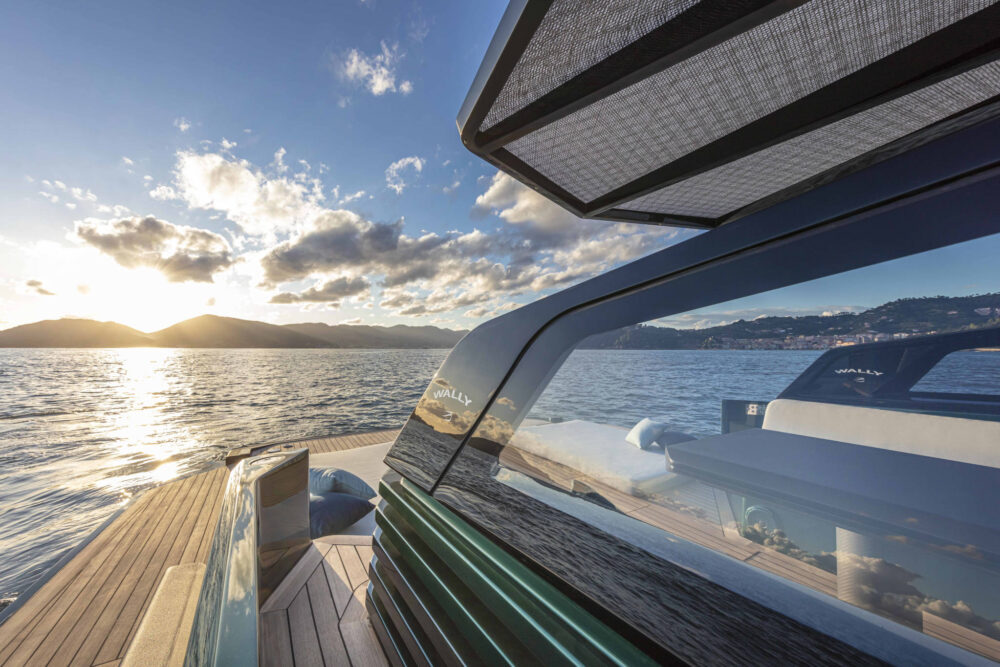 Wally wallytender43 - Внешний вид - Wally wallytender43