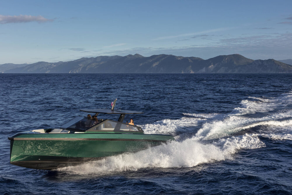 Wally wallytender43 - Внешний вид - Wally wallytender43