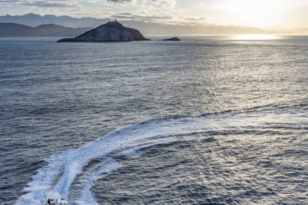 Wally wallytender48X - Zewnętrzny - Wally wallytender48X