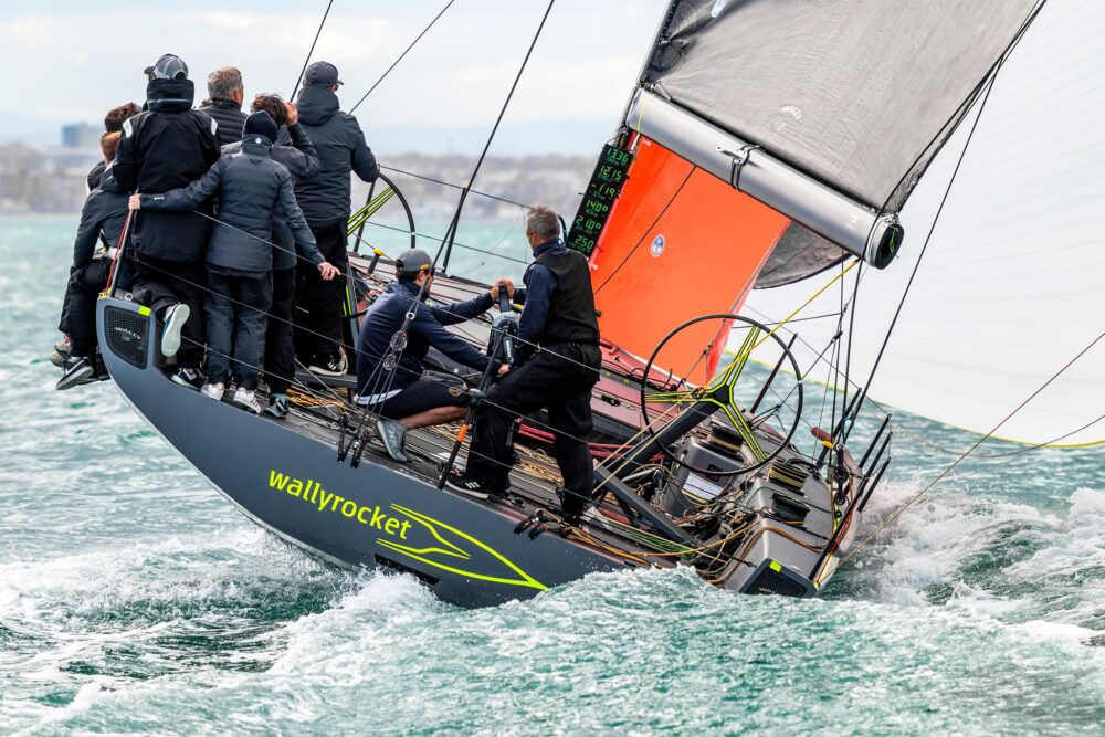 Wally wallyrocket51 - Внешний вид - Wally wallyrocket51