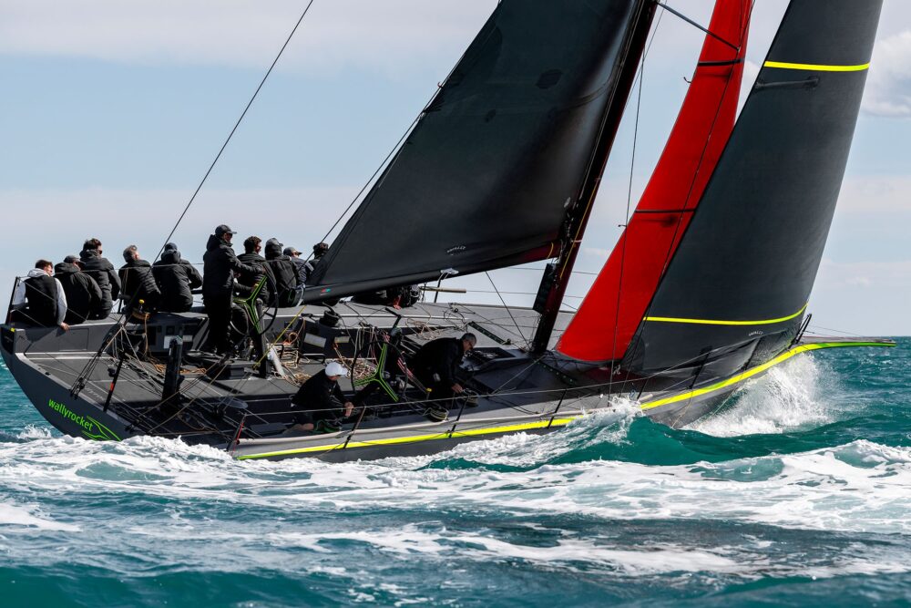 Wally wallyrocket51 - Внешний вид - Wally wallyrocket51