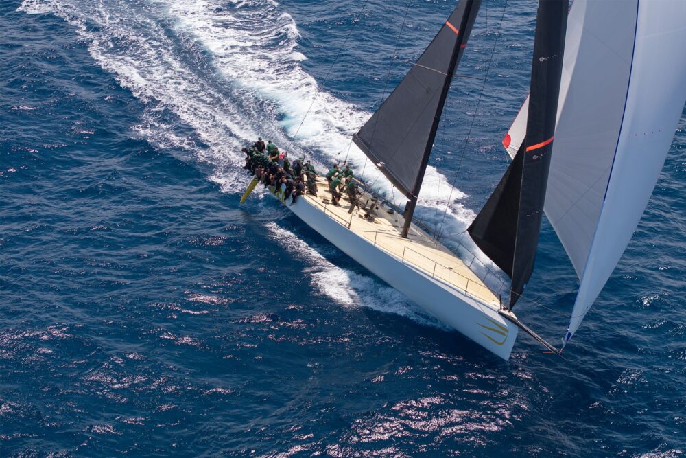 Wally wallyrocket71 New - Внешний вид - Wally wallyrocket71 New