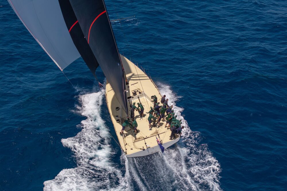 Wally wallyrocket71 New - Внешний вид - Wally wallyrocket71 New