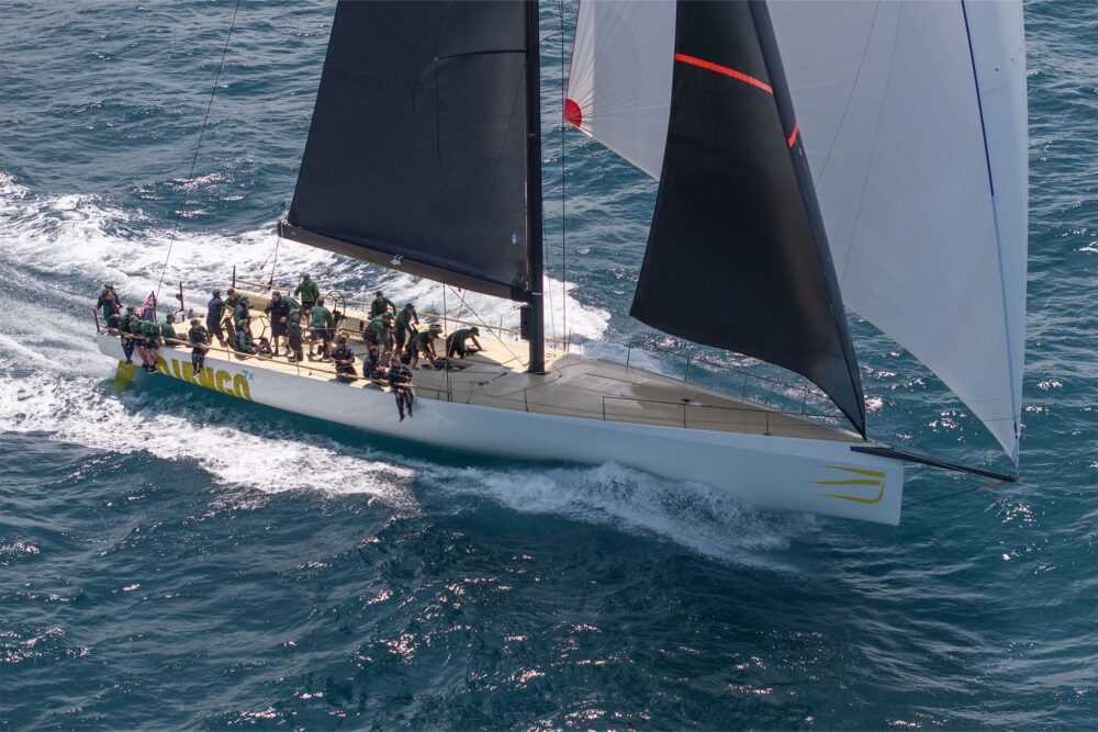 Wally wallyrocket71 New - Внешний вид - Wally wallyrocket71 New