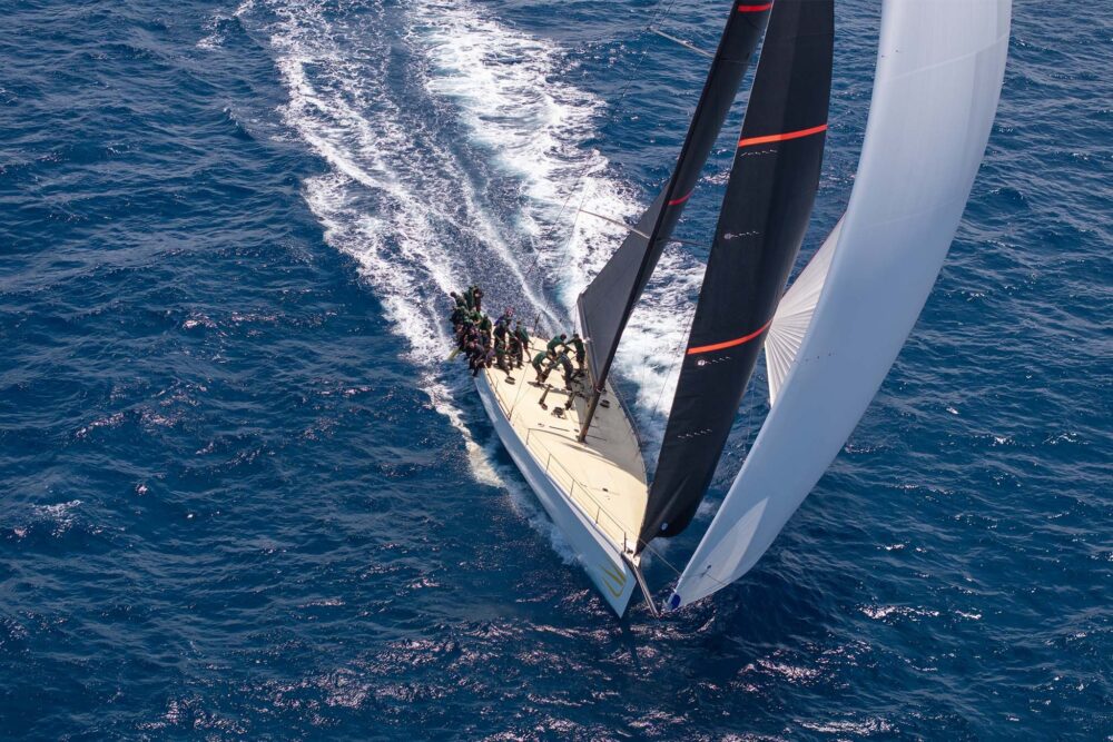 Wally wallyrocket71 New - Внешний вид - Wally wallyrocket71 New