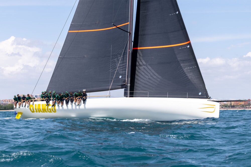 Wally wallyrocket71 New - Внешний вид 