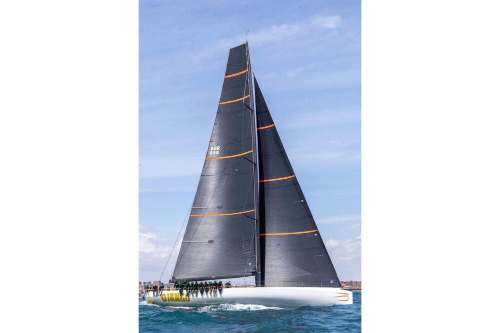 Wally wallyrocket71 New - Внешний вид - Wally wallyrocket71 New