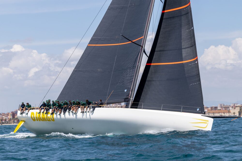 Wally wallyrocket71 New - Внешний вид - Wally wallyrocket71 New