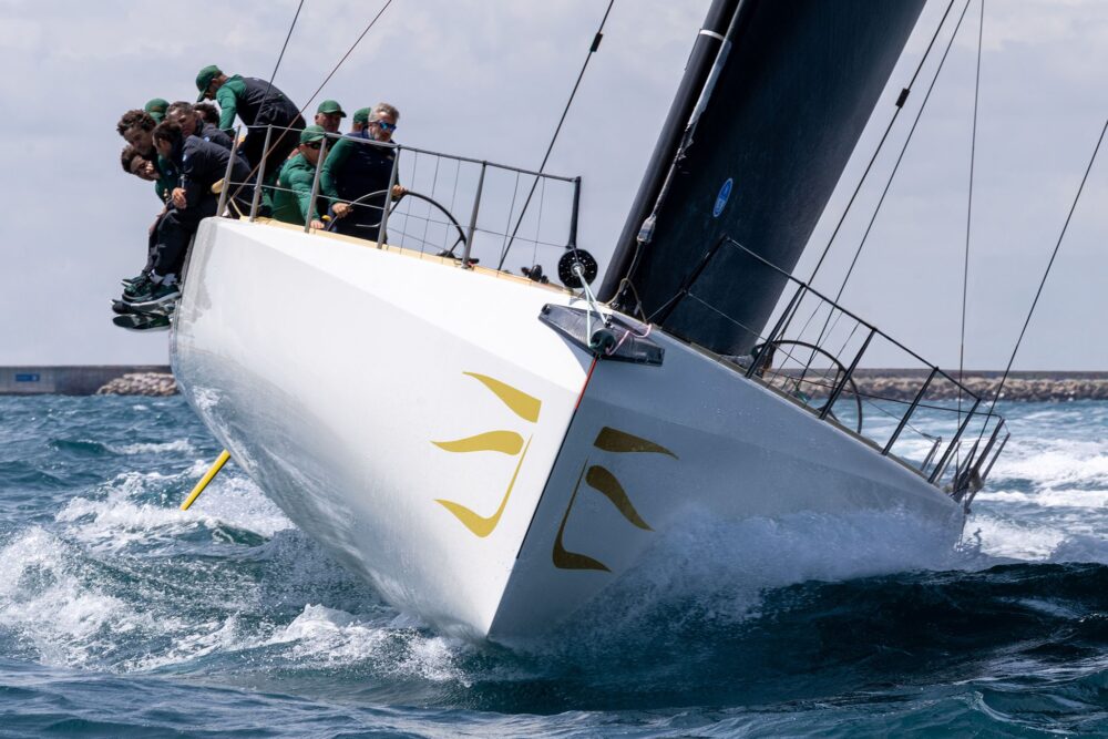 Wally wallyrocket71 New - Внешний вид - Wally wallyrocket71 New