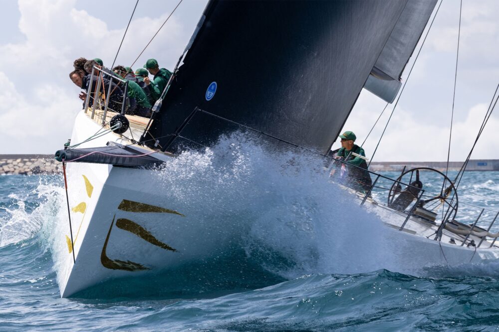 Wally wallyrocket71 New - Внешний вид - Wally wallyrocket71 New