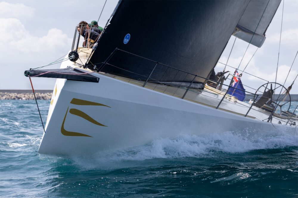 Wally wallyrocket71 New - Внешний вид - Wally wallyrocket71 New