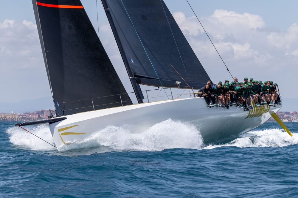 Wally wallyrocket71 New - Внешний вид - Wally wallyrocket71 New