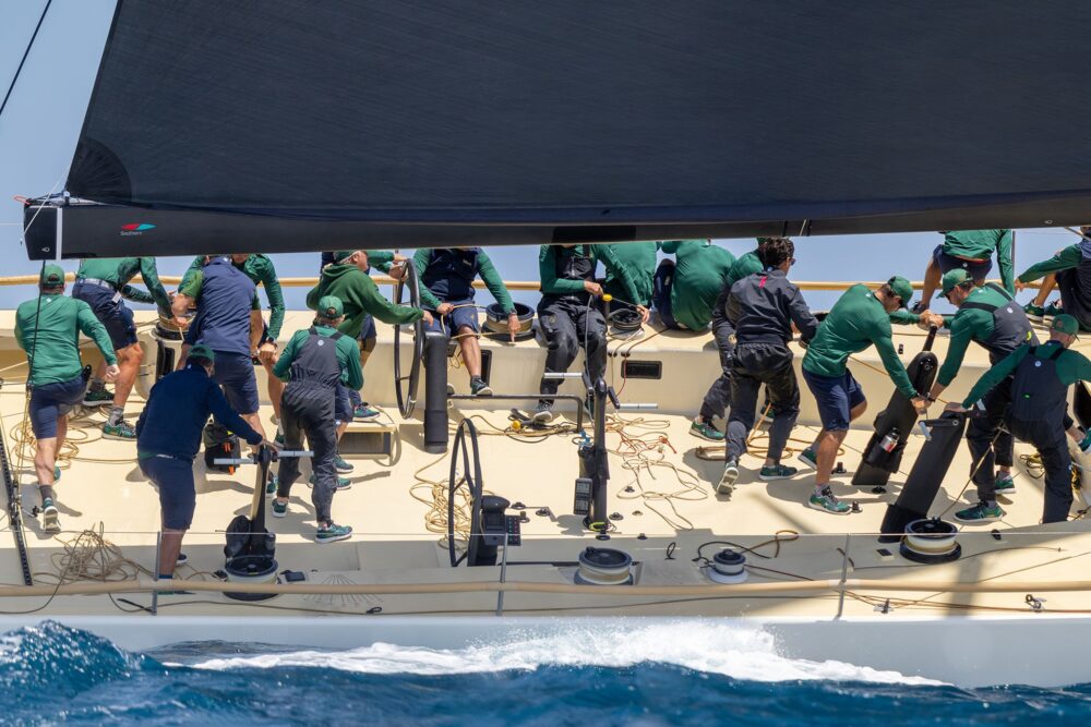 Wally wallyrocket71 New - Внешний вид - Wally wallyrocket71 New