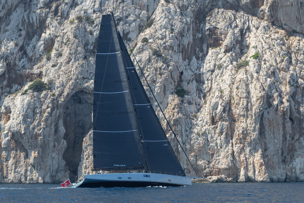 Wally wallywind110 - Внешний вид - Wally wallywind110